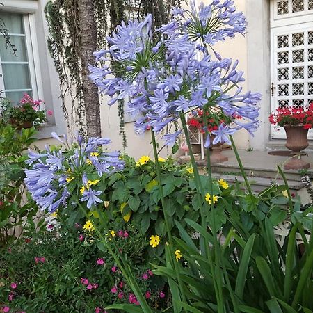 La Belle Vie B&B Montréal エクステリア 写真